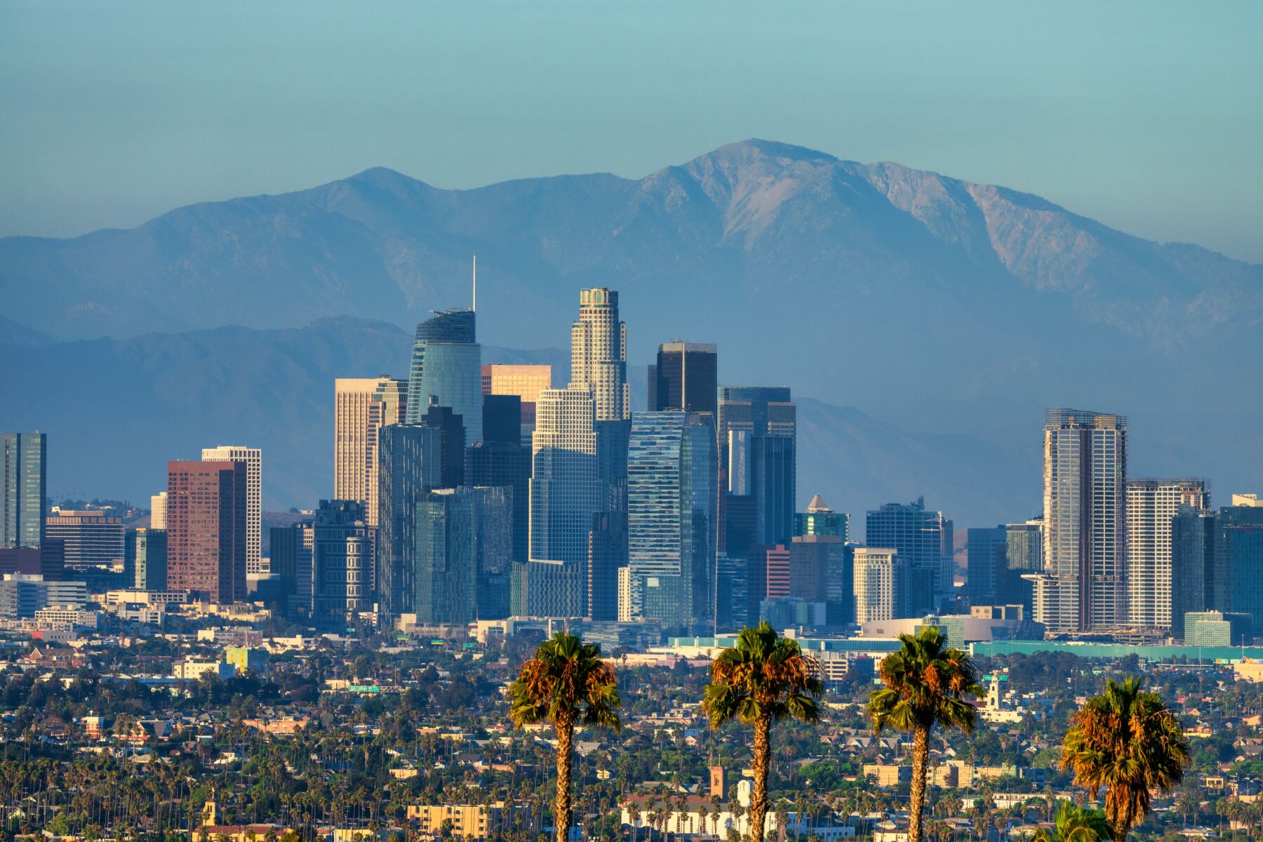 A view of downtown Los Angeles.