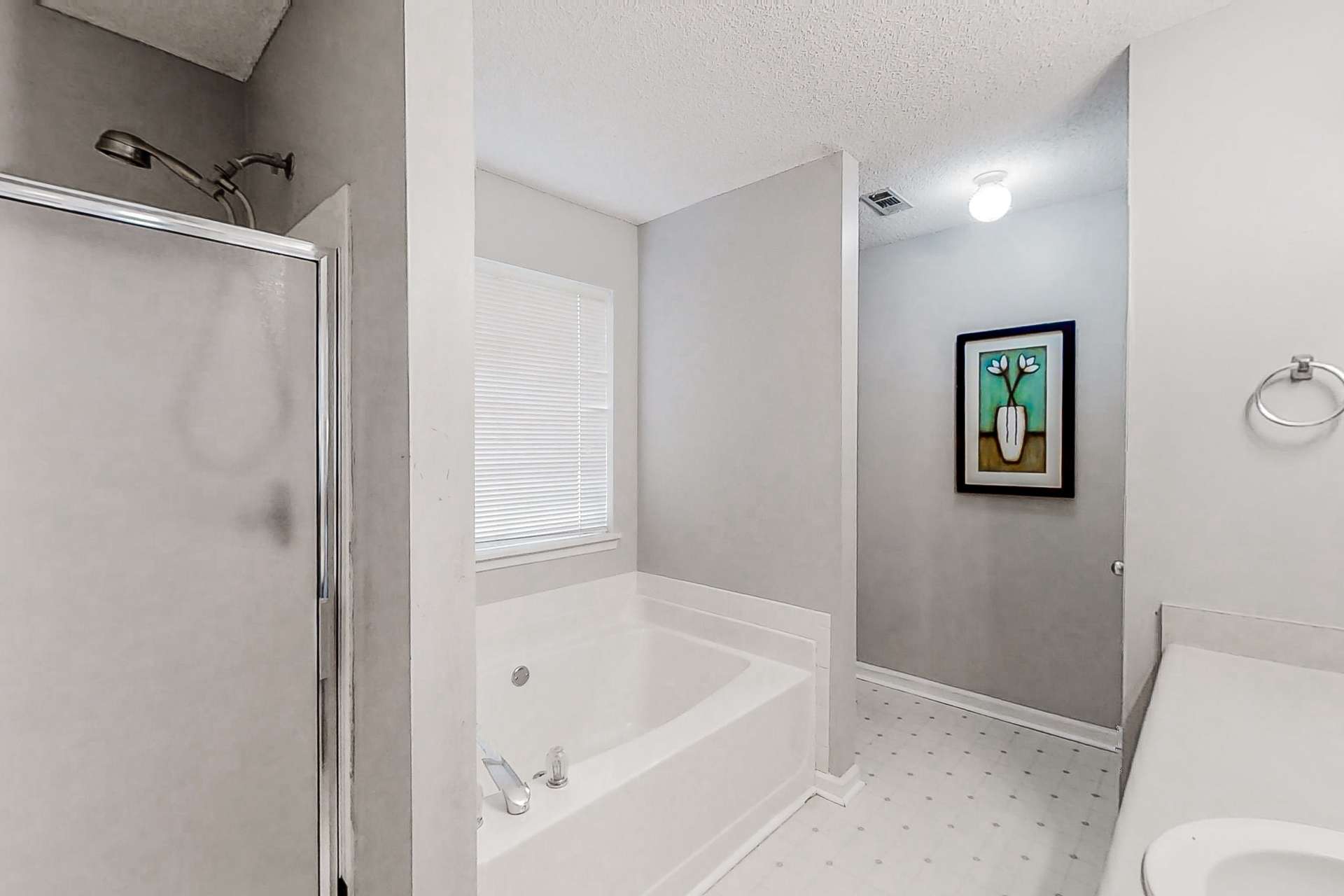 bathroom, detected: bathtub, shower