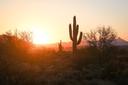 View of Phoenix.