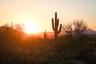 View of Phoenix.