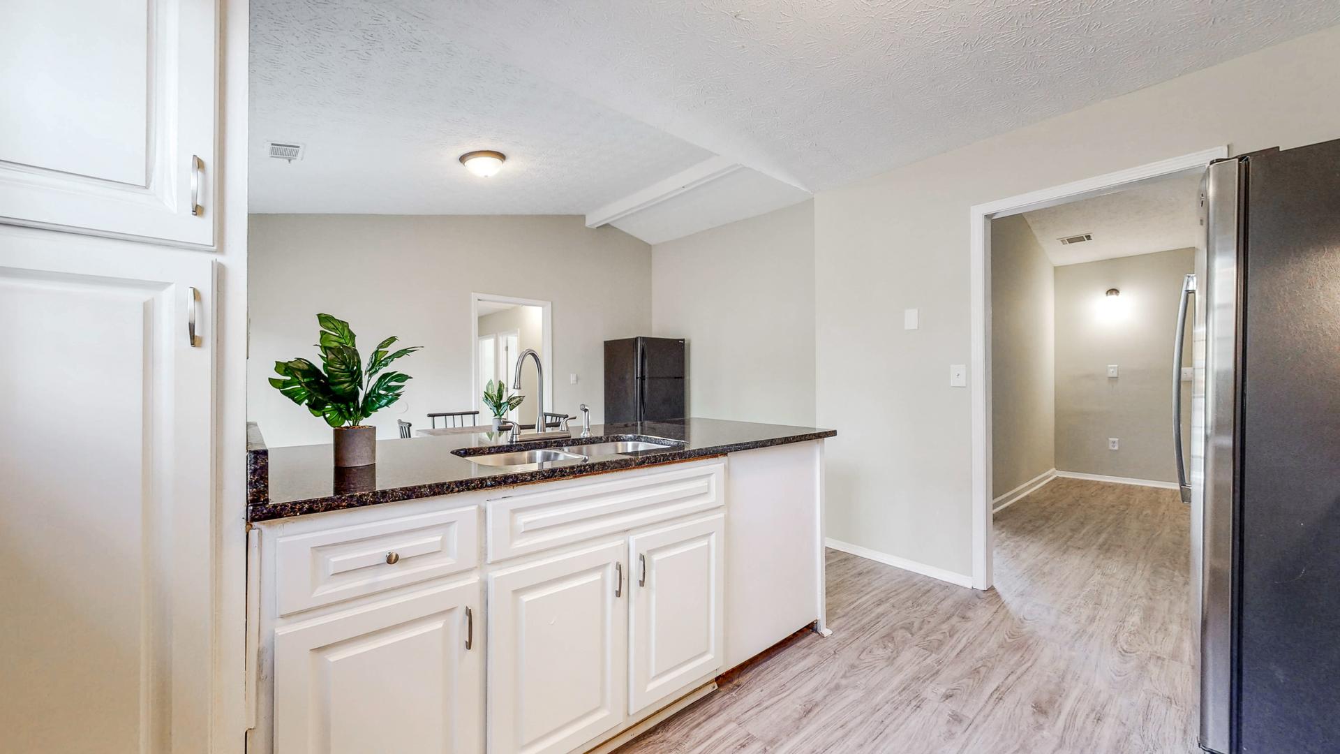 Common spaces including the kitchen