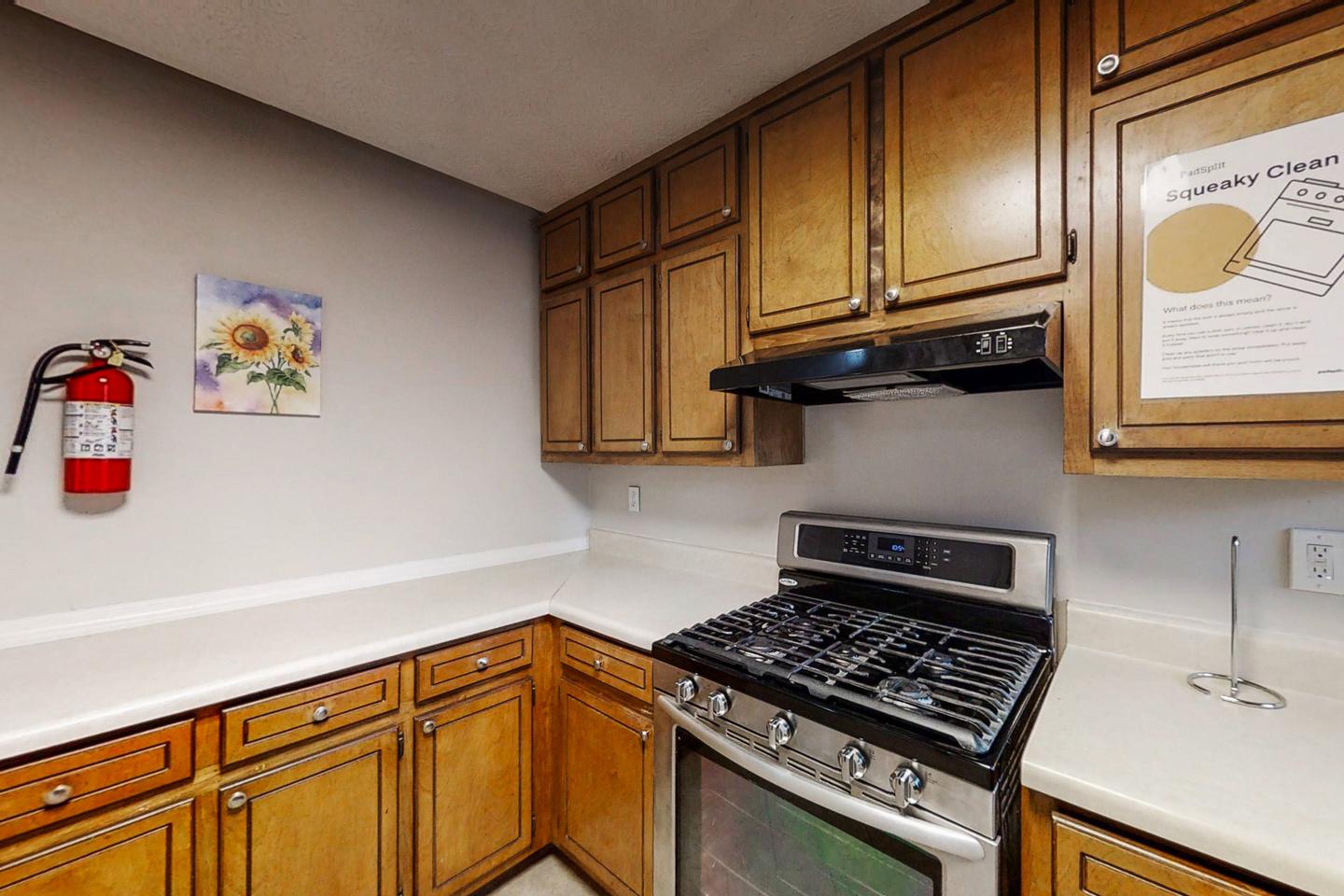 Common spaces including the kitchen