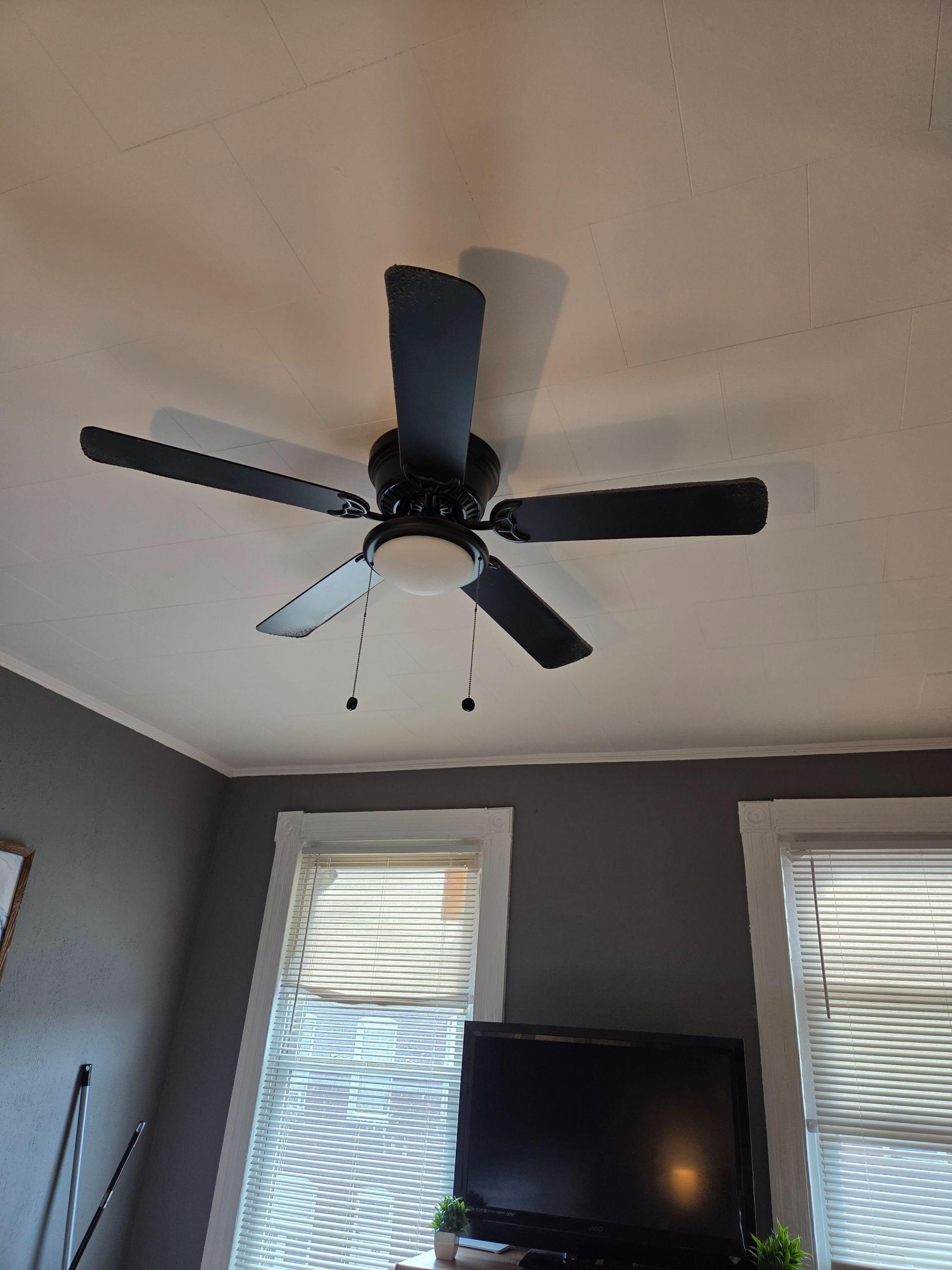 Fan w/ light