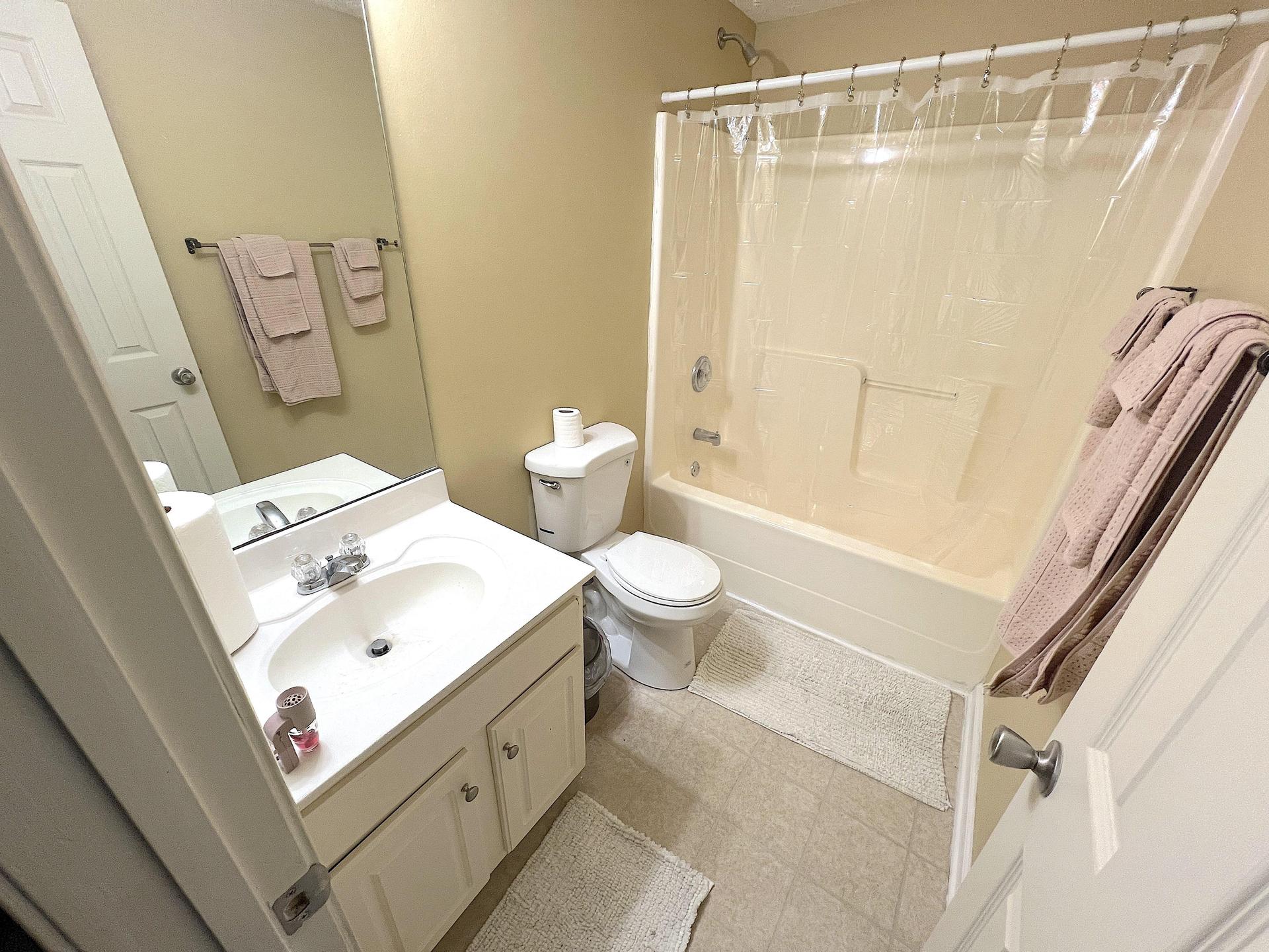 Lower level full bathroom
