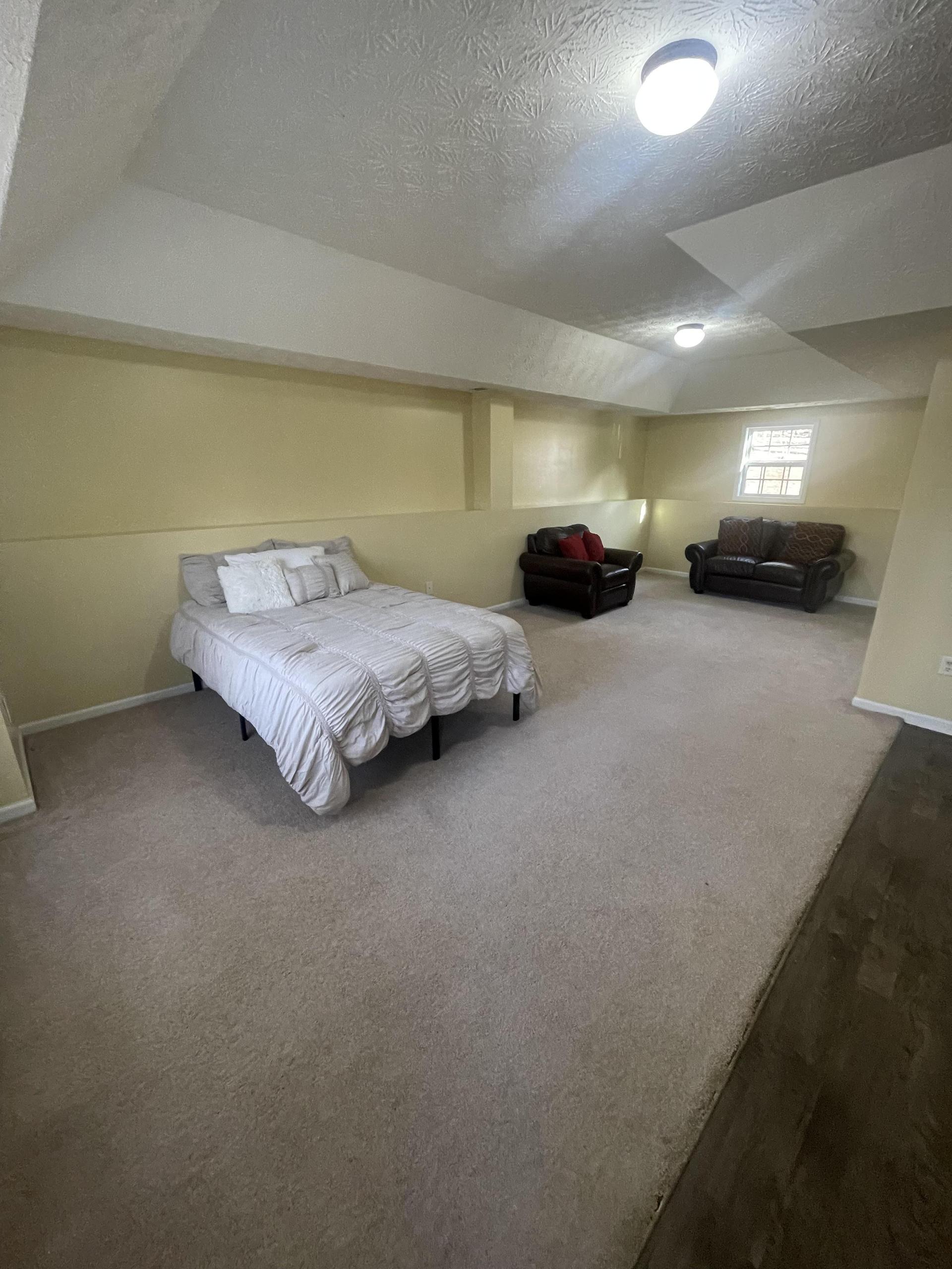 Lower level bedroom