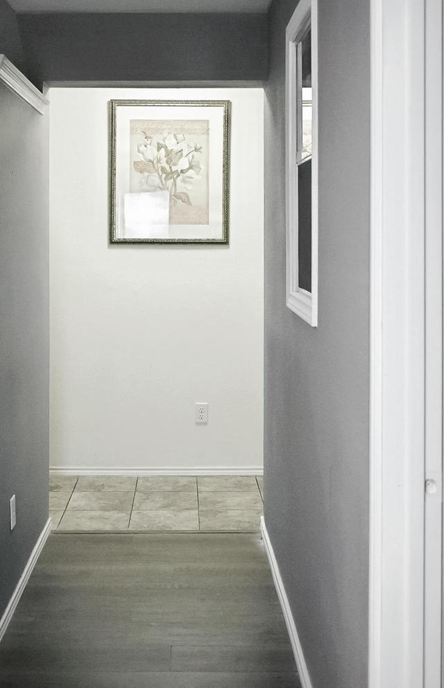 Common spaces including the kitchen