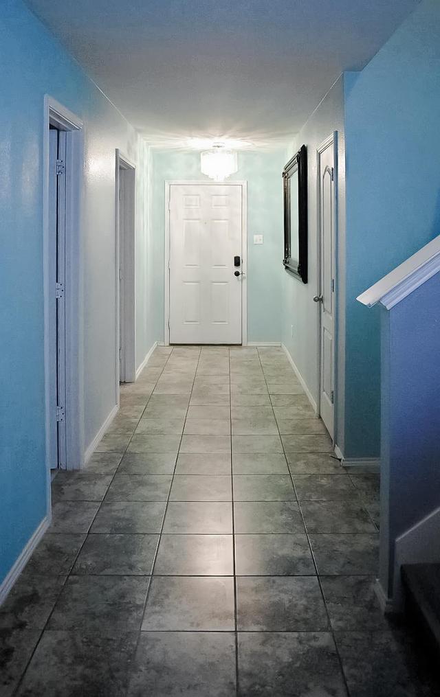 Common spaces including the kitchen