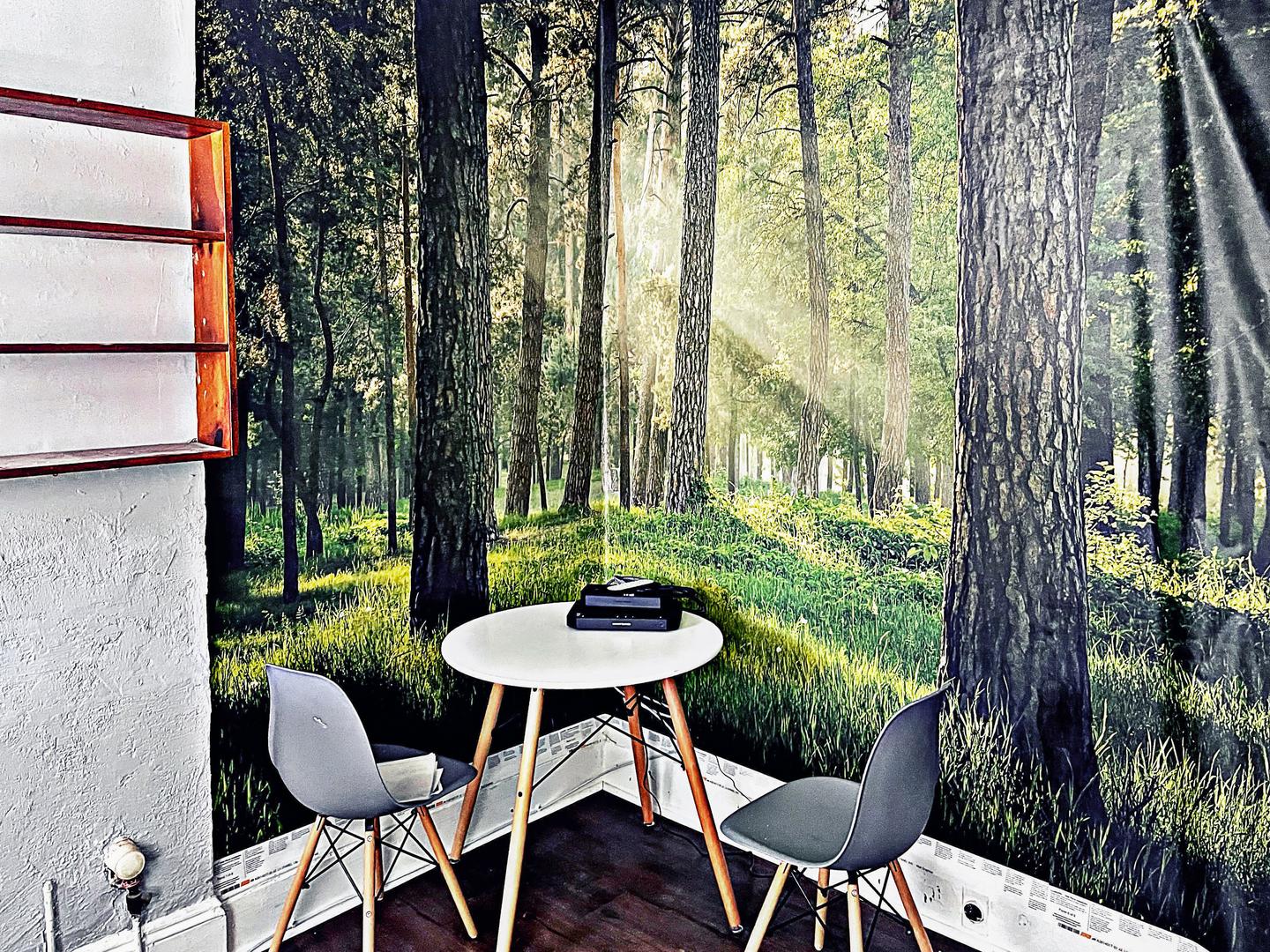 Common spaces including the kitchen