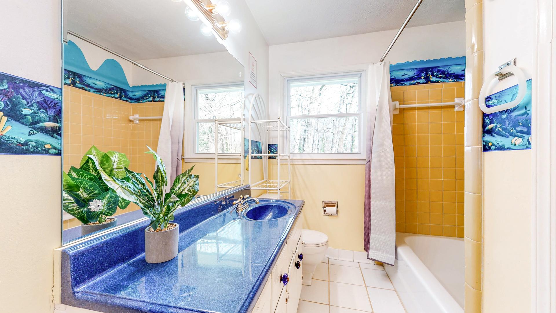 Bathroom(s)
