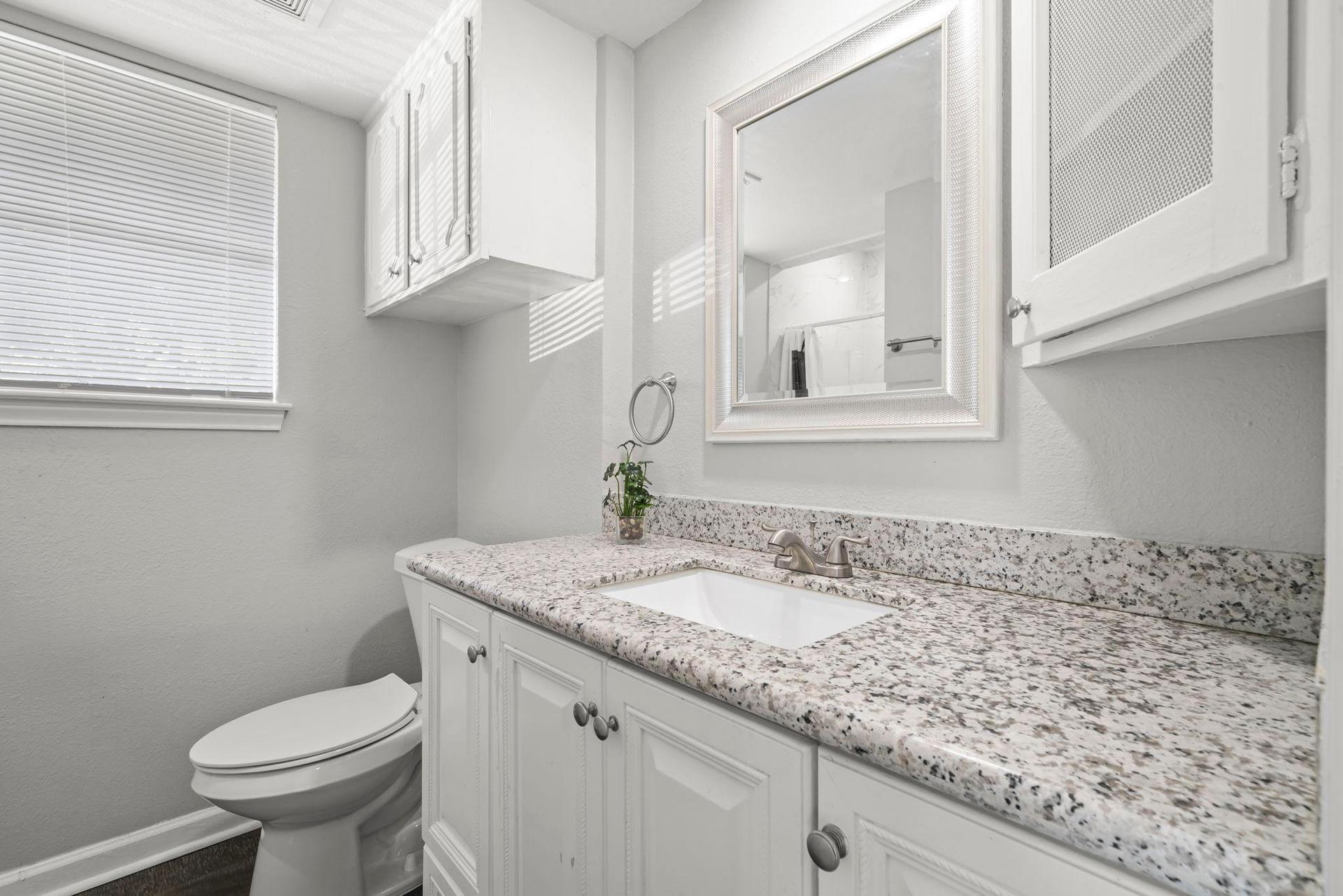 bathroom, detected:window blind