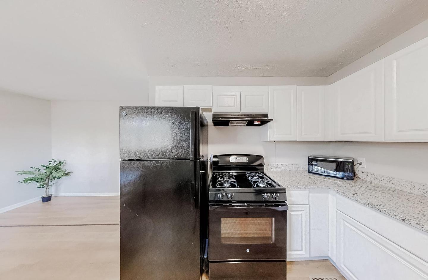 Common spaces including the kitchen