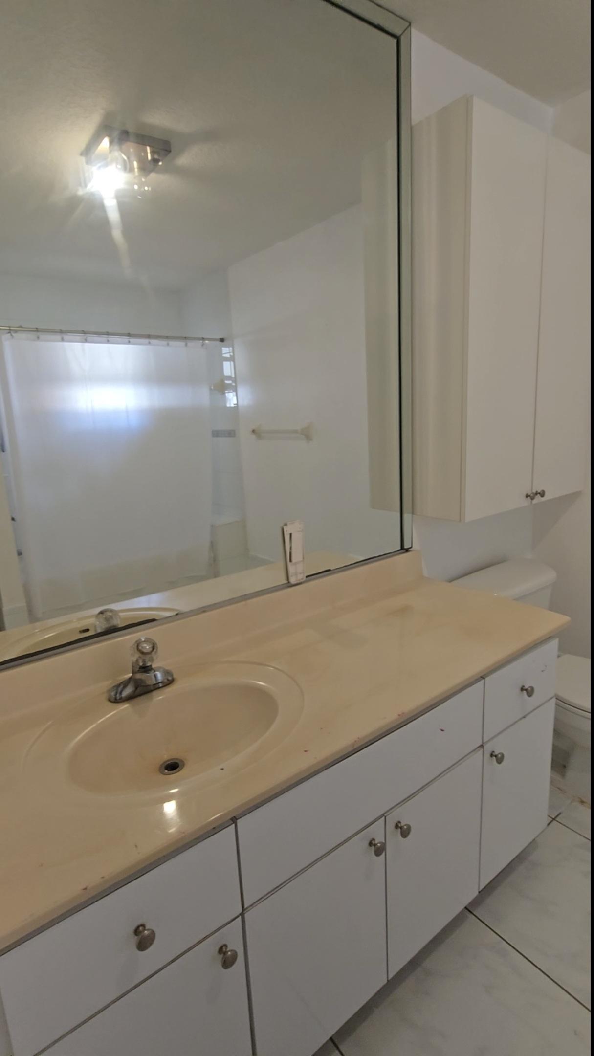 Master bathroom pic 2