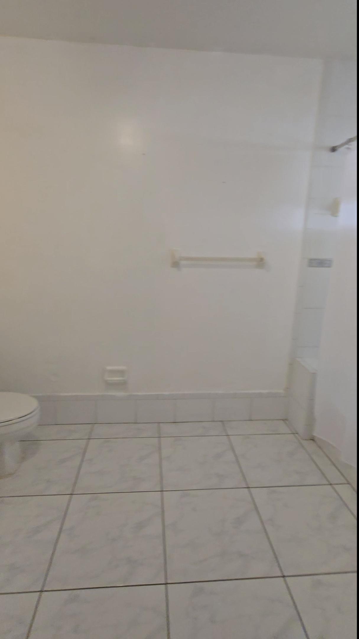 Master bathroom pic 3