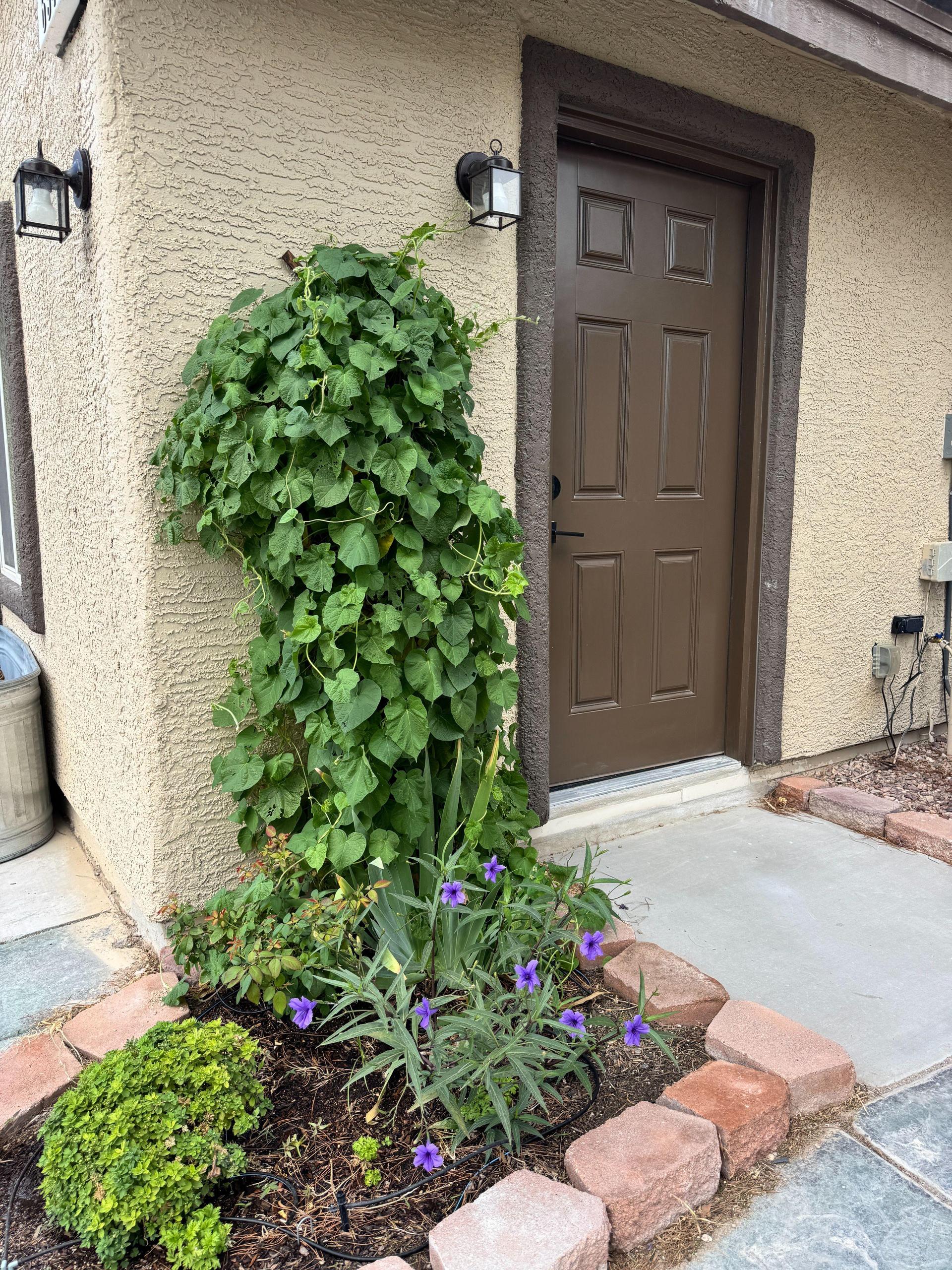 Private Entrance