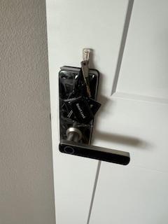 Door