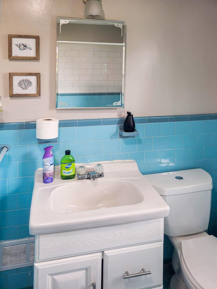 Bathroom(s)