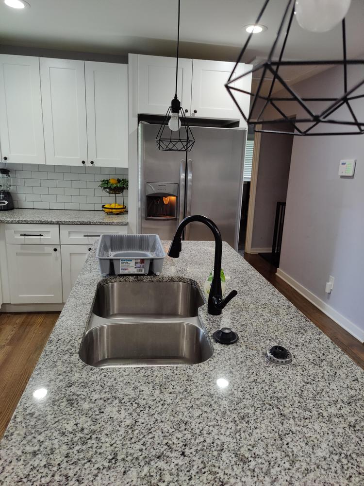 Common spaces including the kitchen
