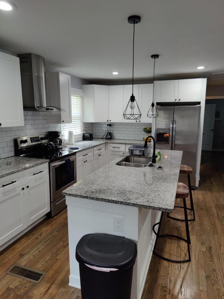 Common spaces including the kitchen