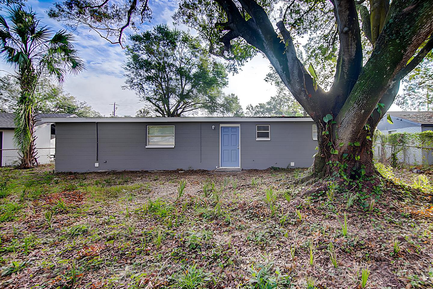 Backyard/Outdoors