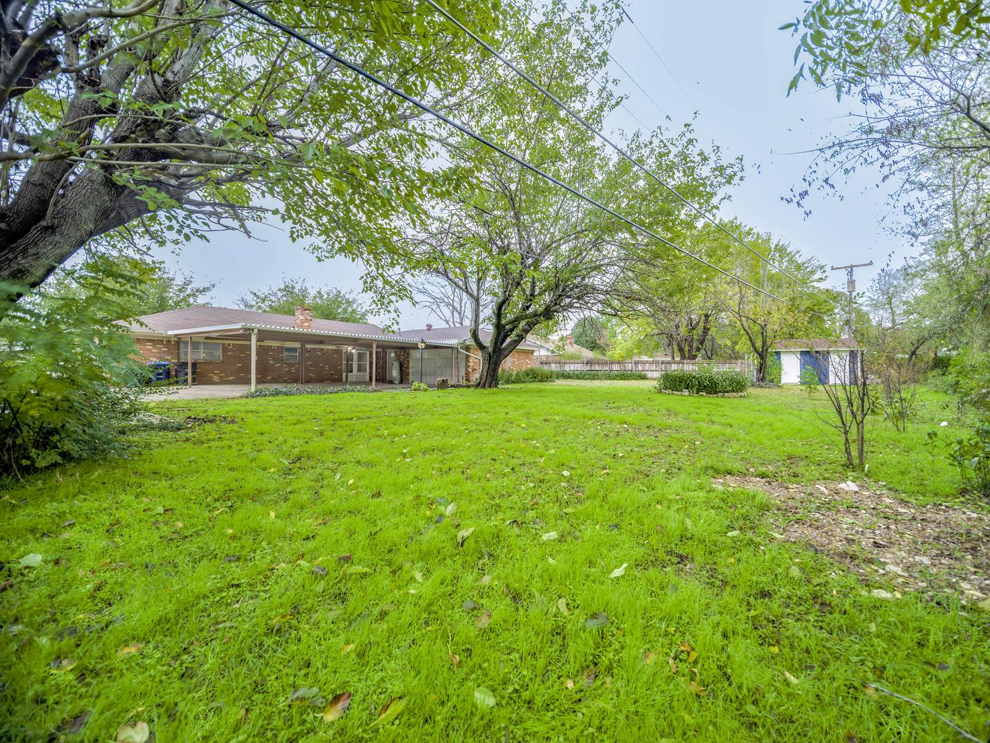 Backyard/Outdoors
