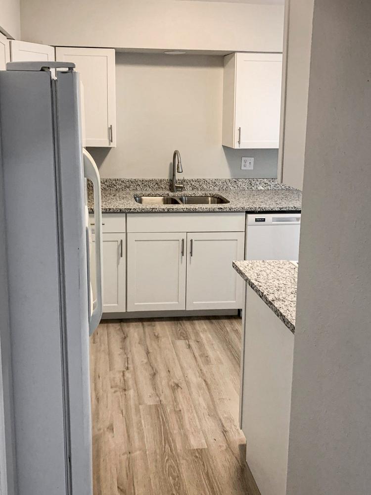 Common spaces including the kitchen