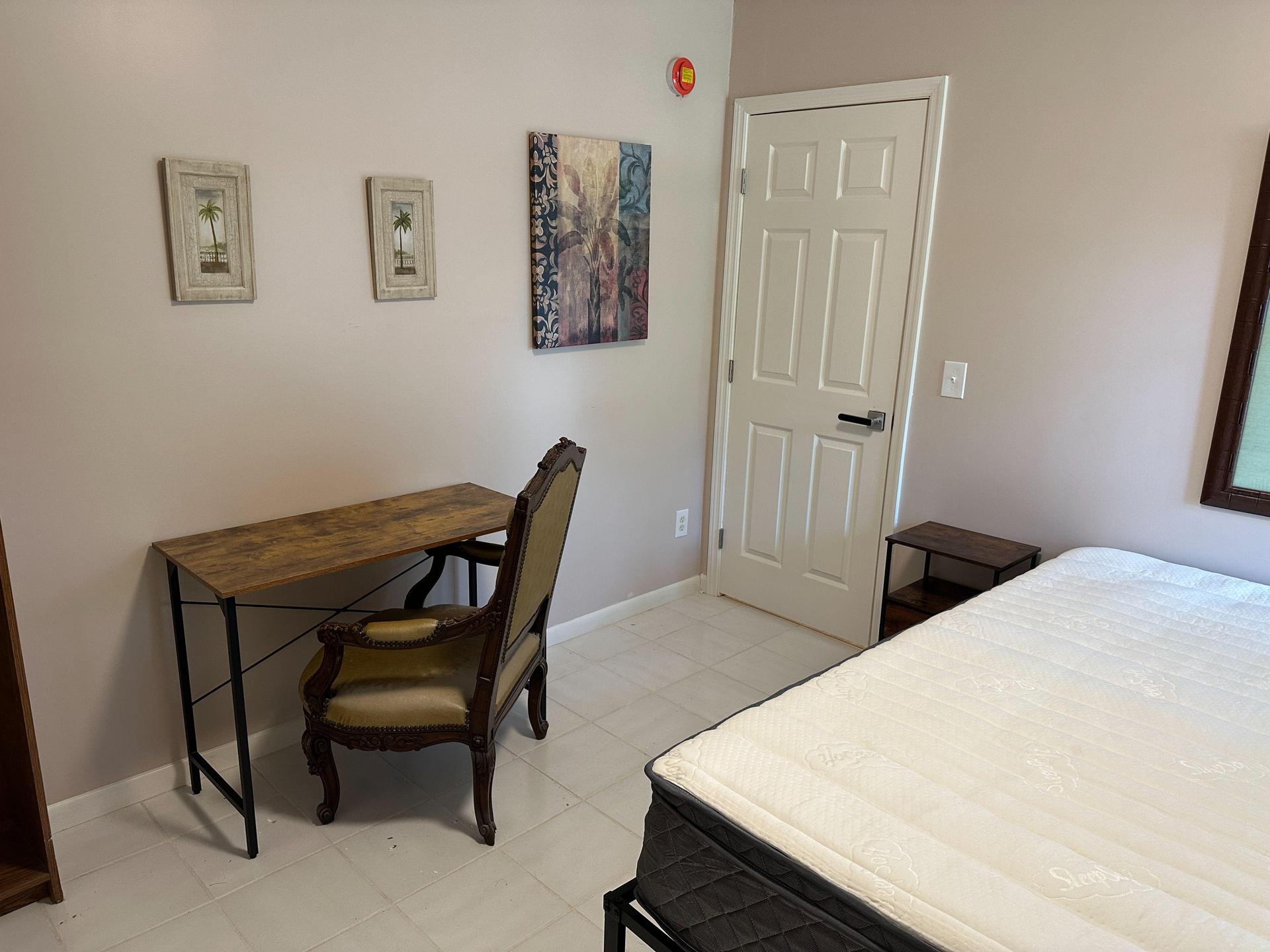 Palm Room #3