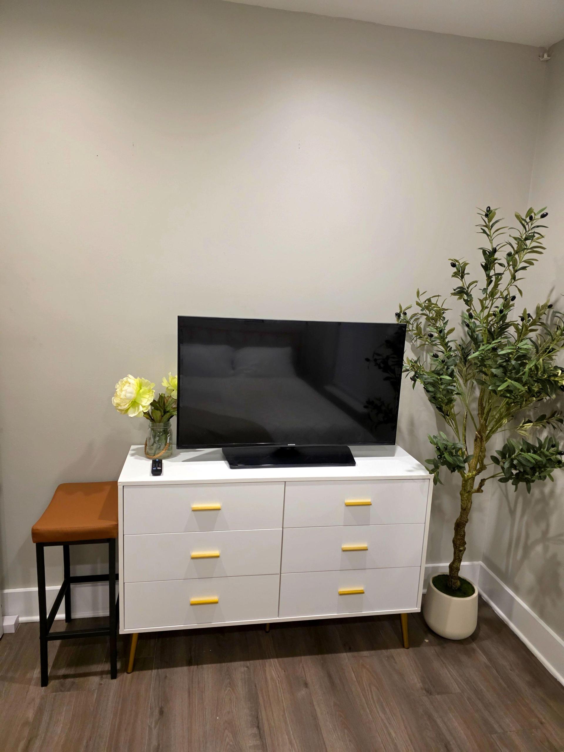 Dresser and private TV