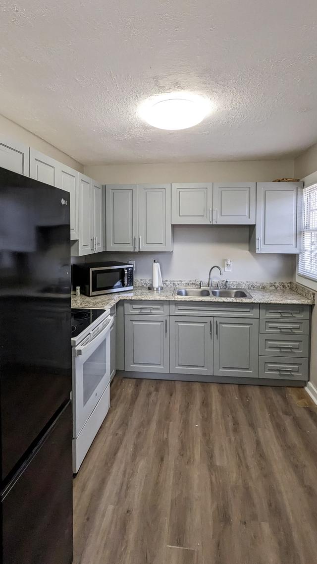 Common spaces including the kitchen
