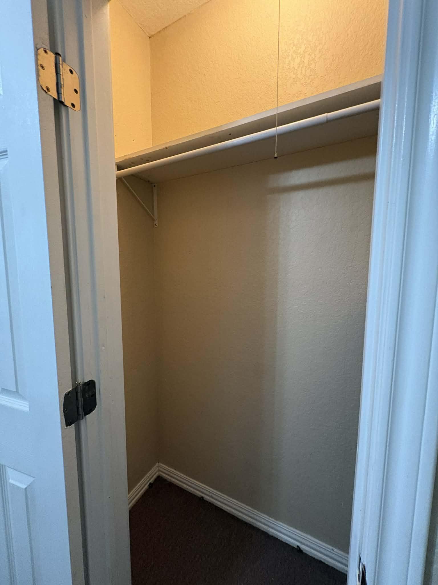 Left side of the reach in closet