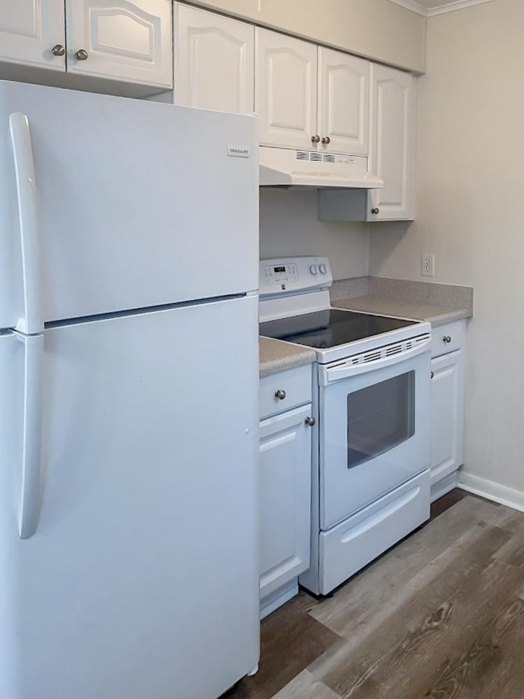 Common spaces including the kitchen