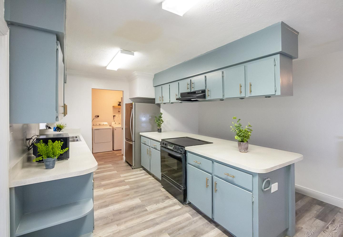 Common spaces including the kitchen