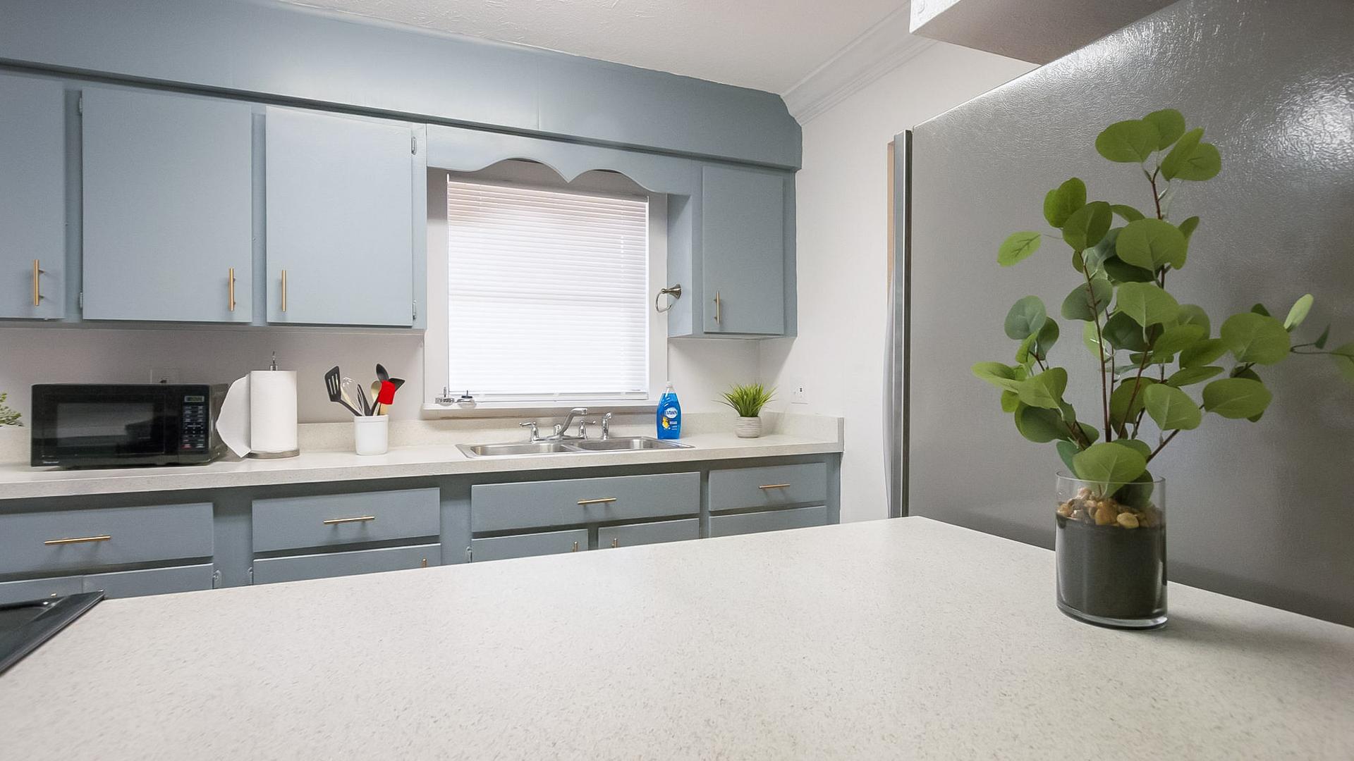 Common spaces including the kitchen