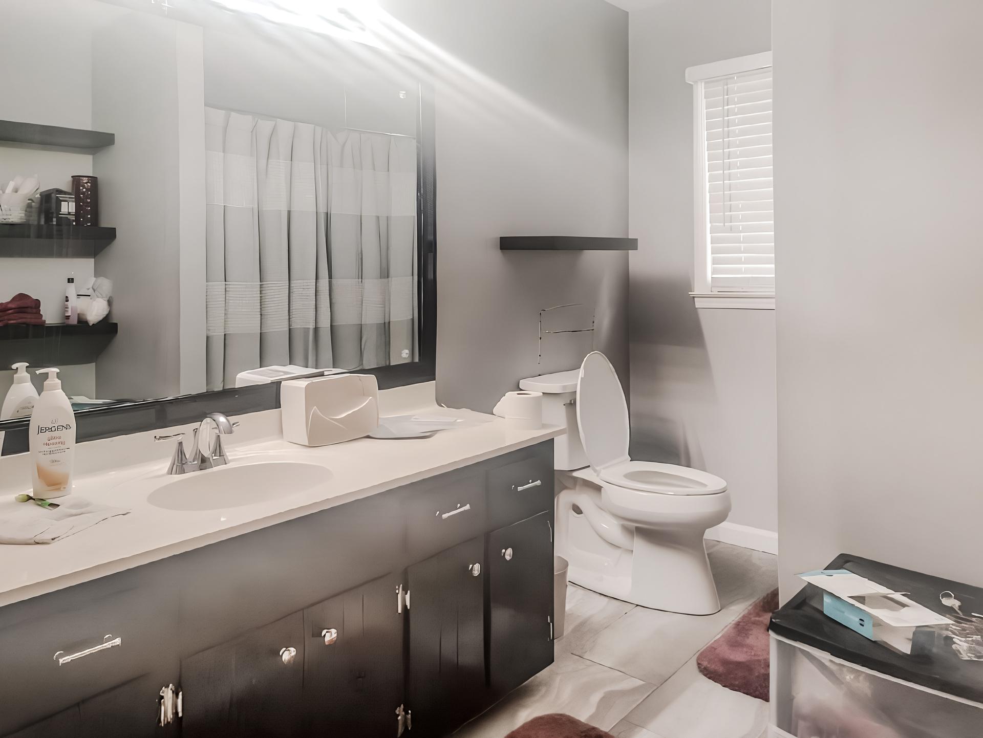 bathroom, detected:window blind