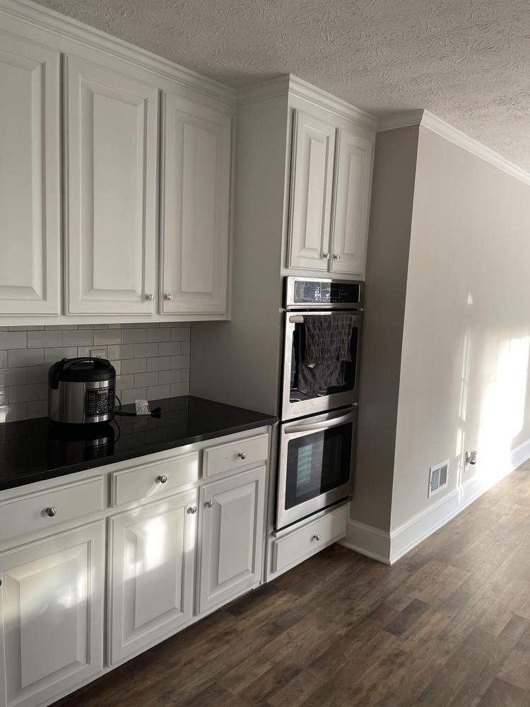 Common spaces including the kitchen