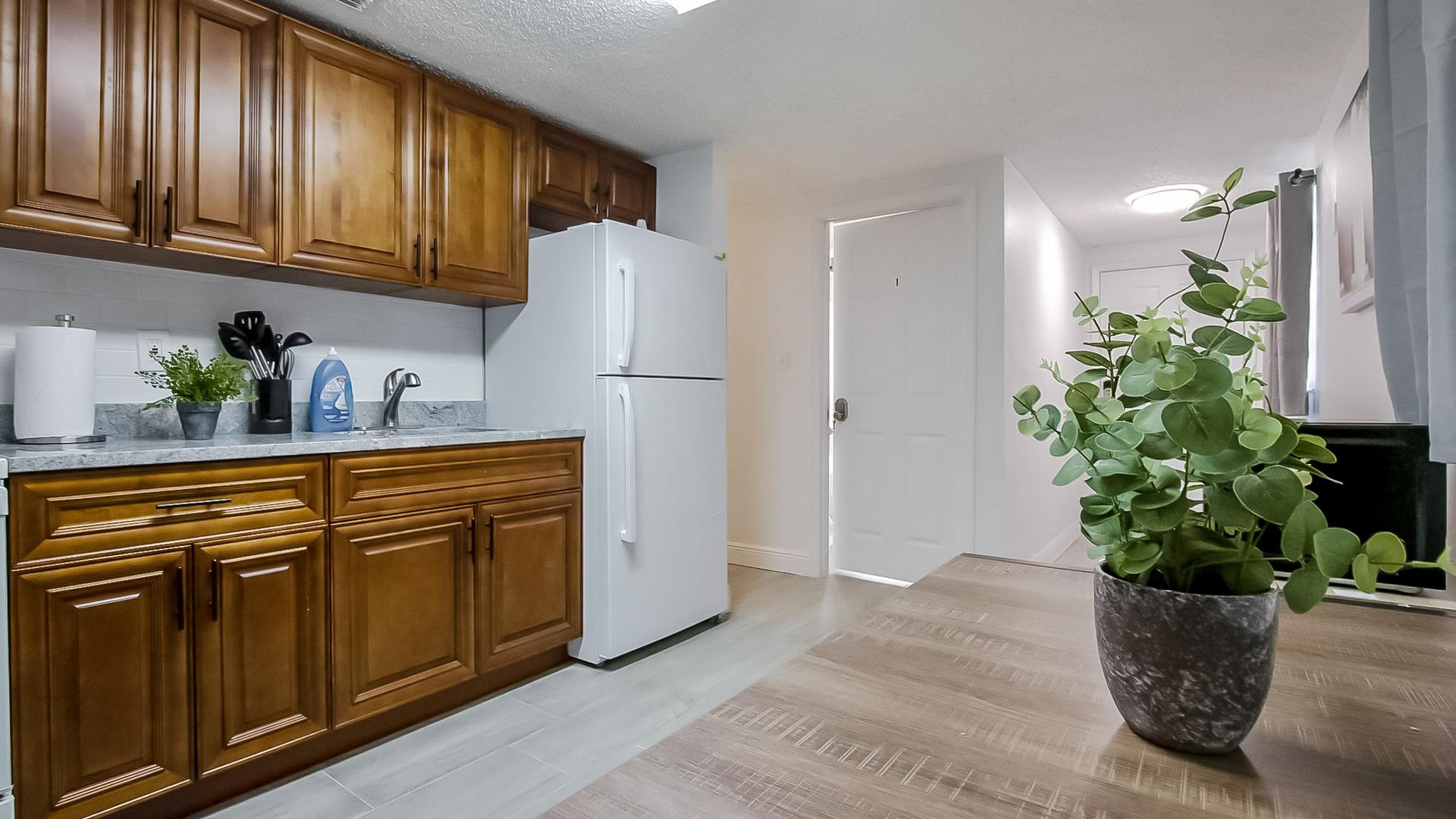 Common spaces including the kitchen