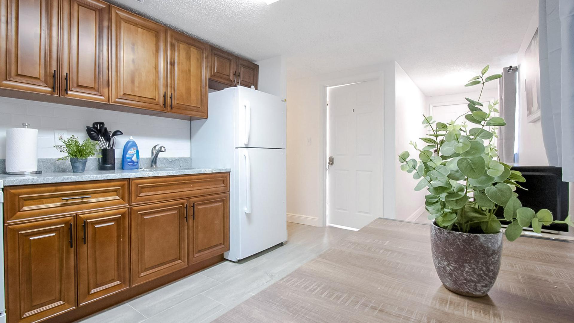 Common spaces including the kitchen