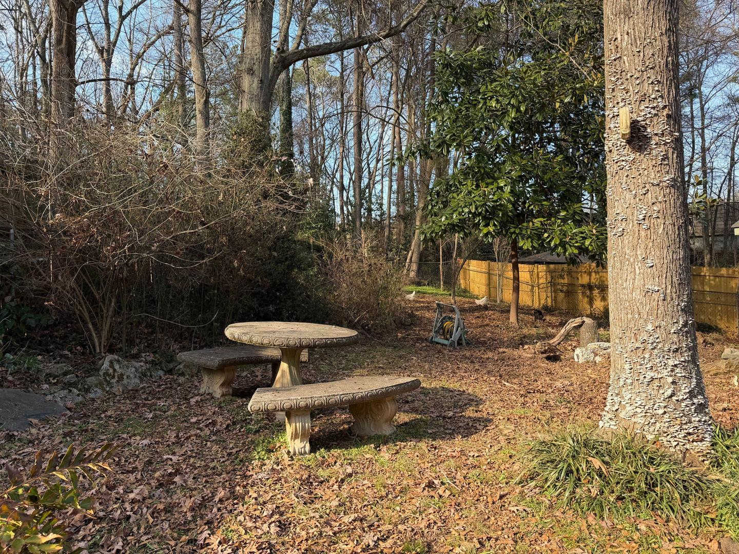 Common space