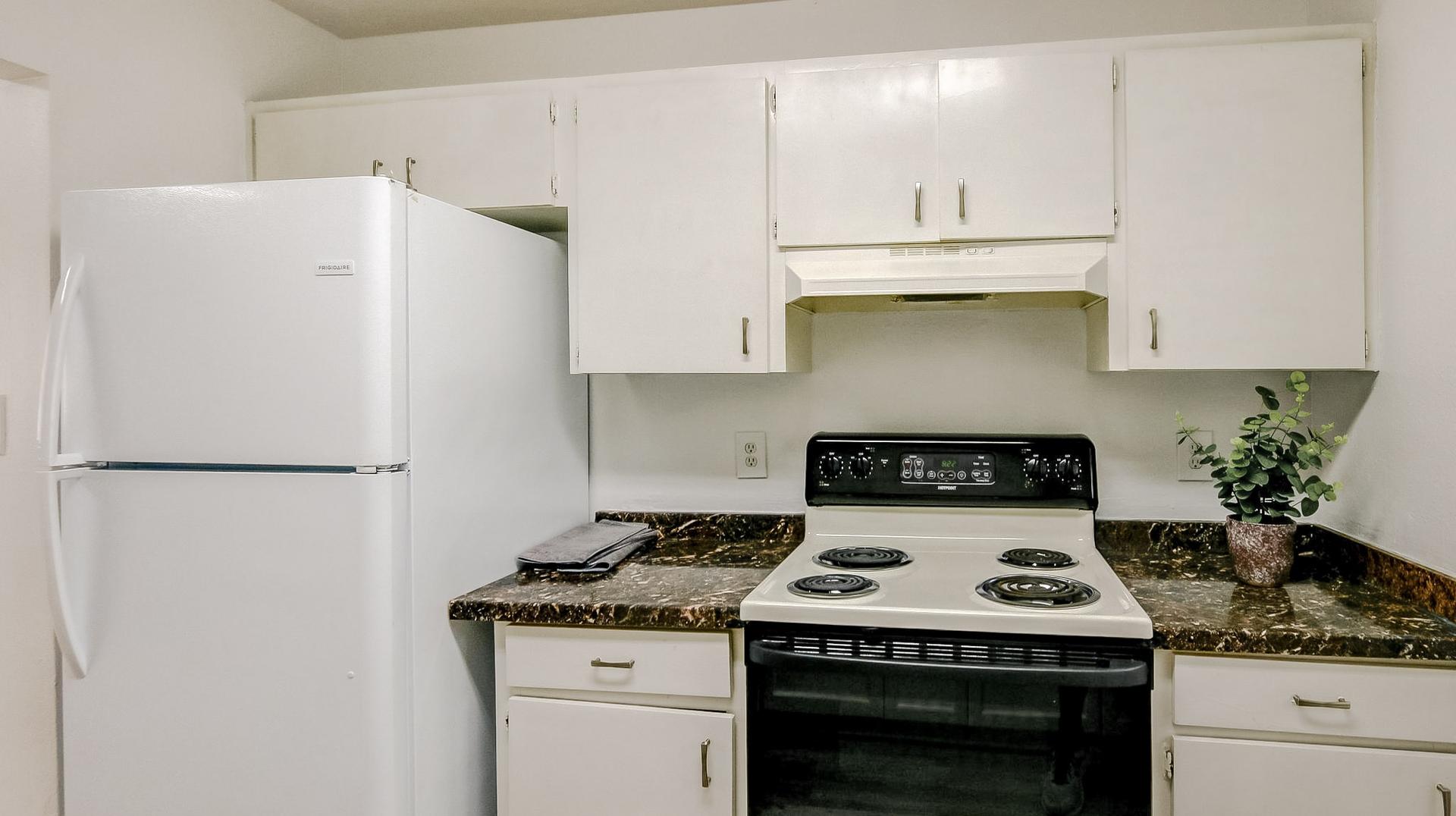 Common spaces including the kitchen