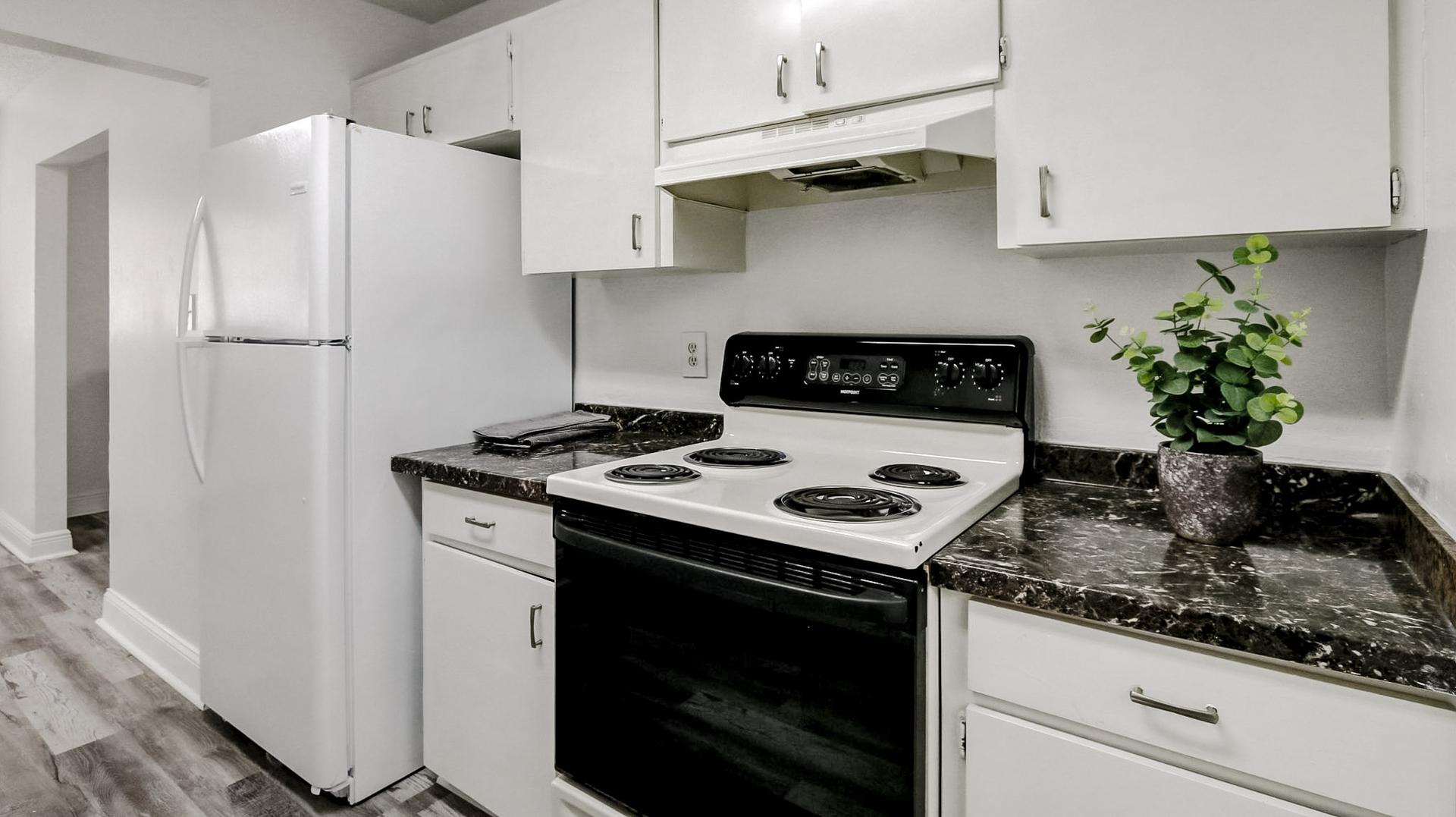 Common spaces including the kitchen