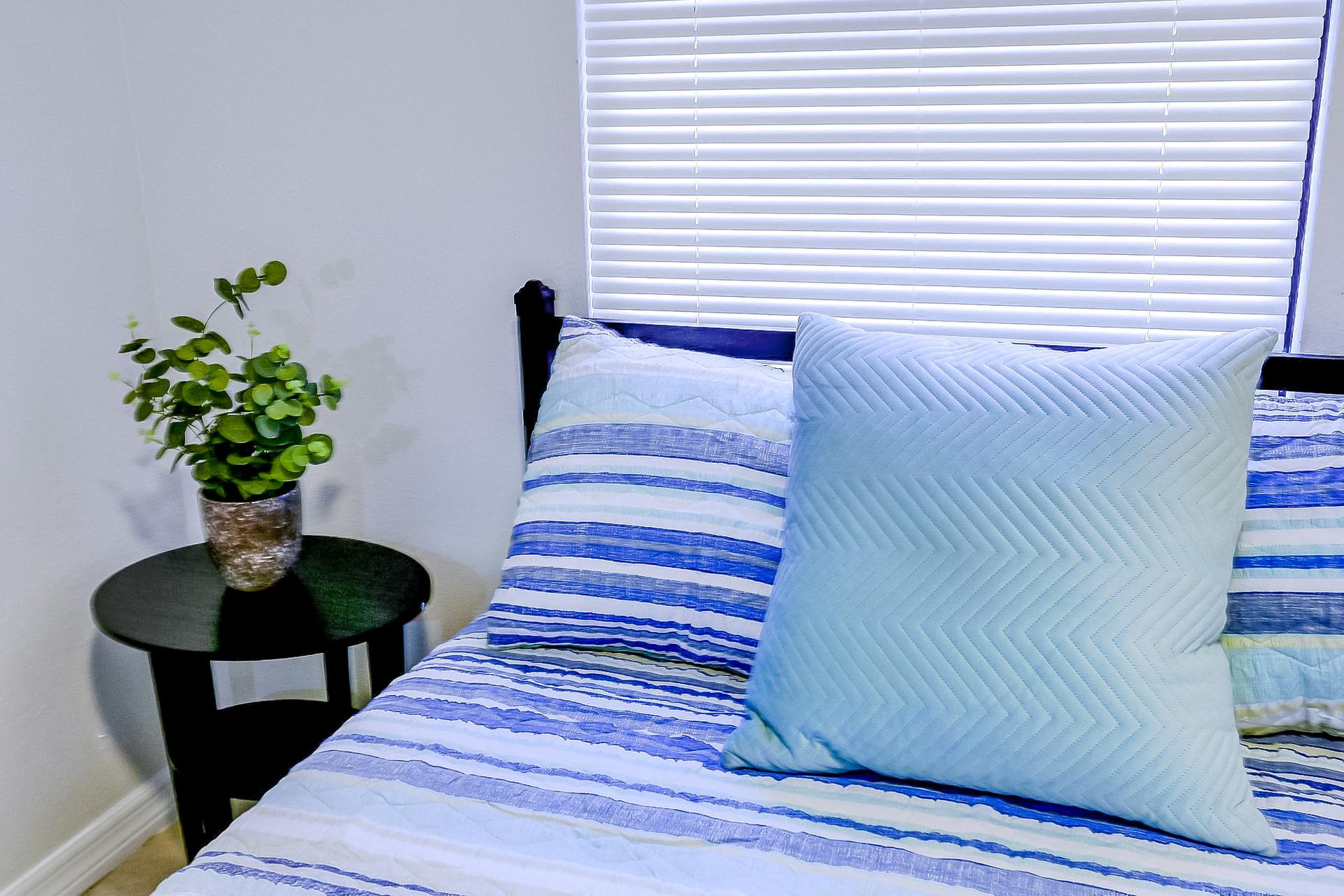 bedroom, detected:bed, window blind