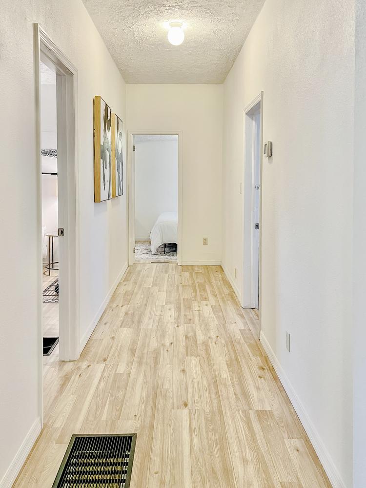 Common spaces including the kitchen