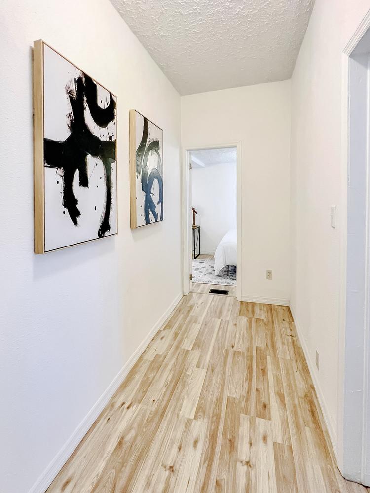 Common spaces including the kitchen