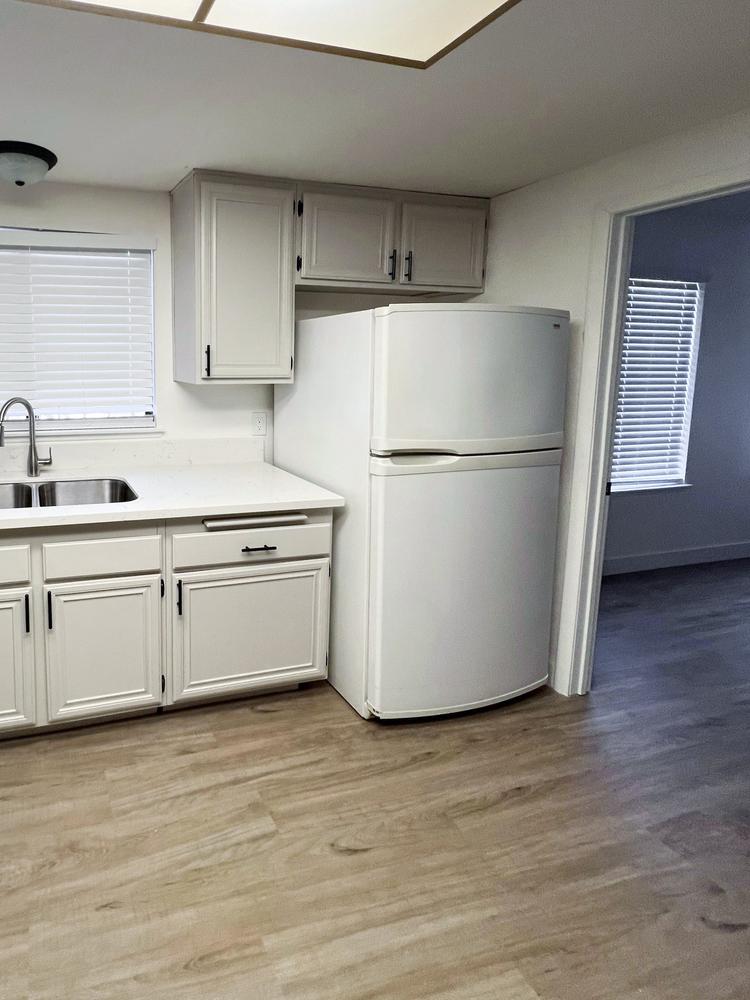 Common spaces including the kitchen