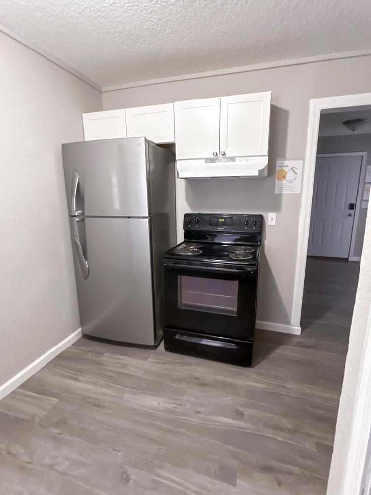 Common spaces including the kitchen