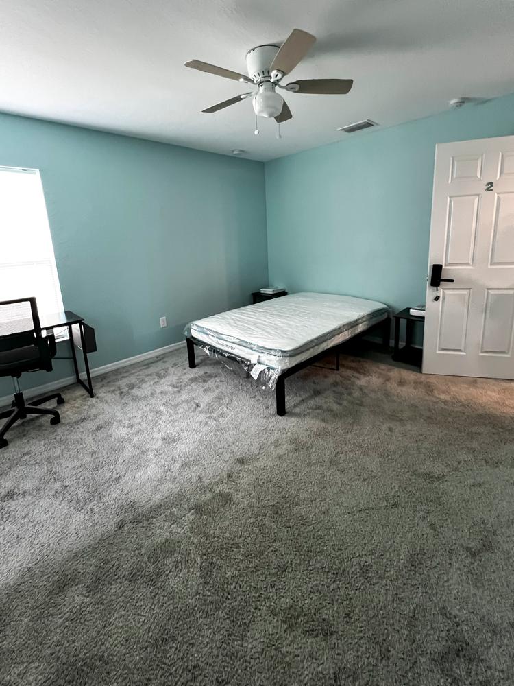 Common spaces including the kitchen