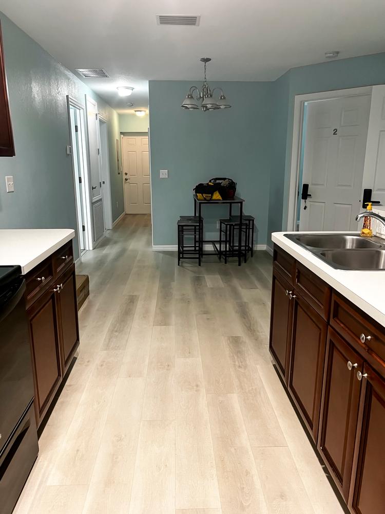 Common spaces including the kitchen