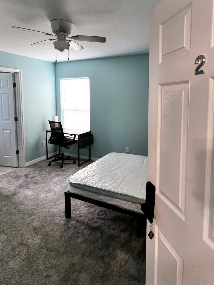 Common spaces including the kitchen