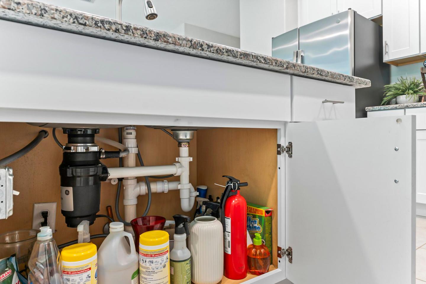 Common spaces including the kitchen