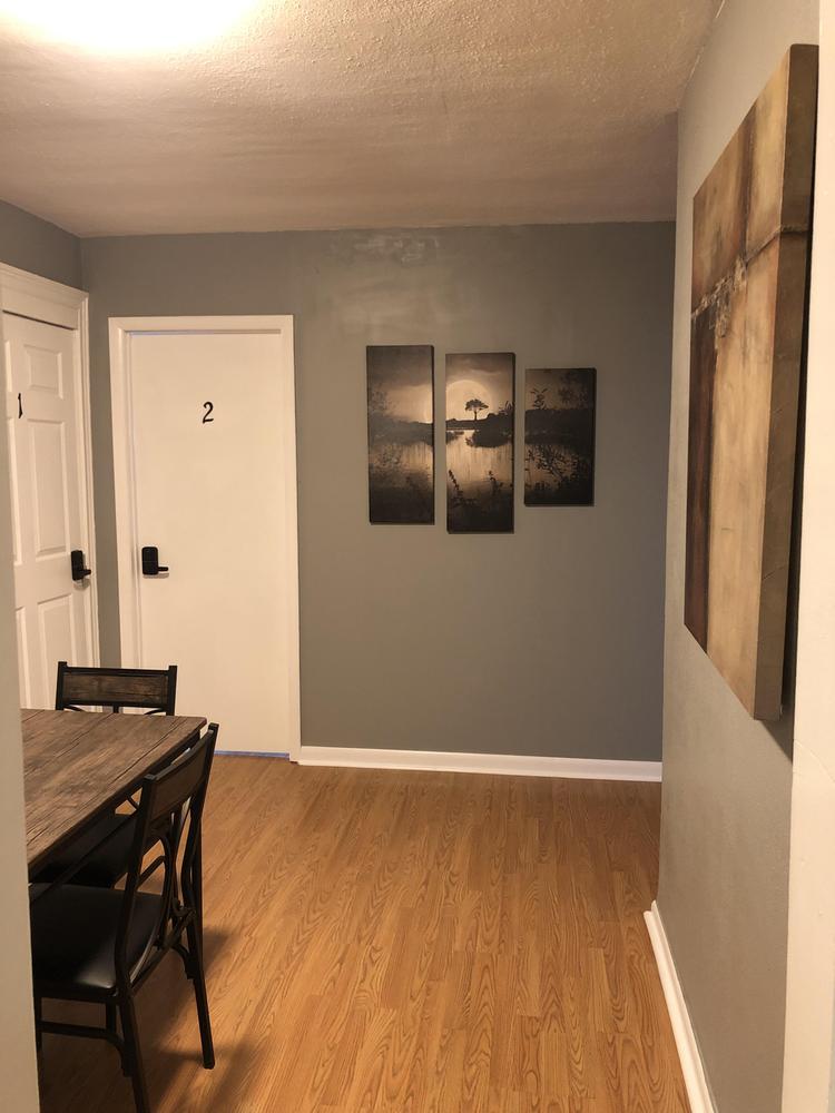 Common spaces including the kitchen
