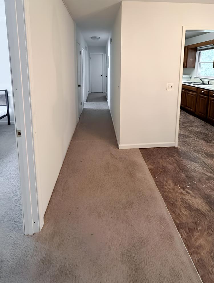 Common spaces including the kitchen